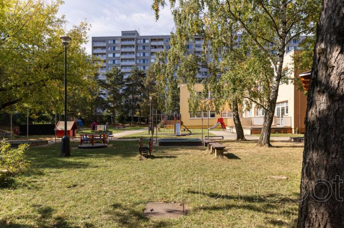 Pronájem bytu 3+1, Praha, Hviezdoslavova, 55 m2