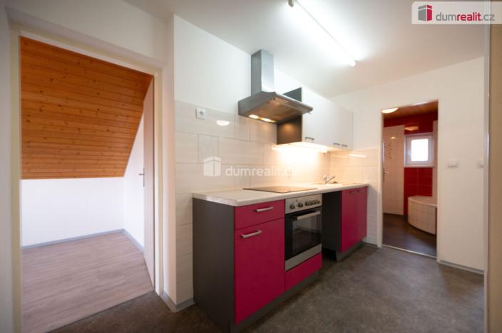 Prodej atypického bytu, České Budějovice - České Budějovice 5, Kosmova, 179 m2