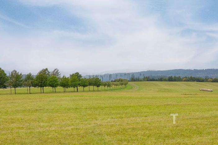 Prodej pozemku pro bydlení, Velenov, 12680 m2