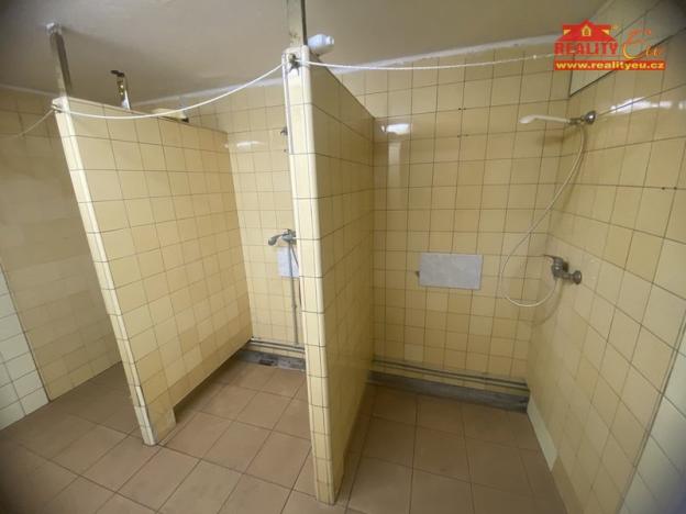 Pronájem výrobních prostor, Česká Skalice, Křenkova, 4200 m2