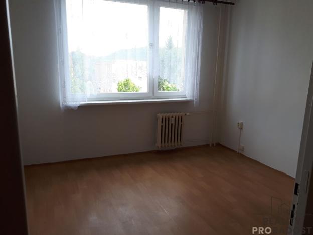 Pronájem bytu 1+kk, Děčín, Kamenická, 20 m2