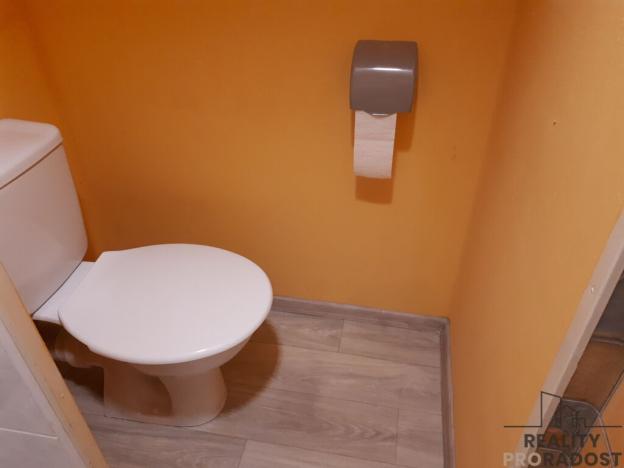 Pronájem bytu 1+kk, Děčín, Kamenická, 20 m2