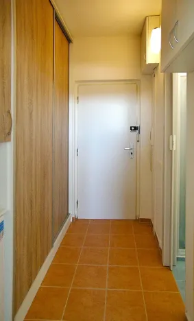 Pronájem bytu 1+kk, Brno, Halasovo náměstí, 22 m2