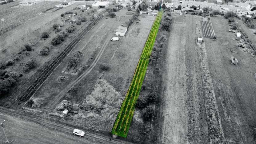 Prodej sadu/vinice, Týnec, 1237 m2