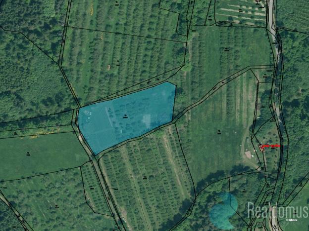 Prodej zemědělské usedlosti, Lhenice - Hrbov, 170 m2