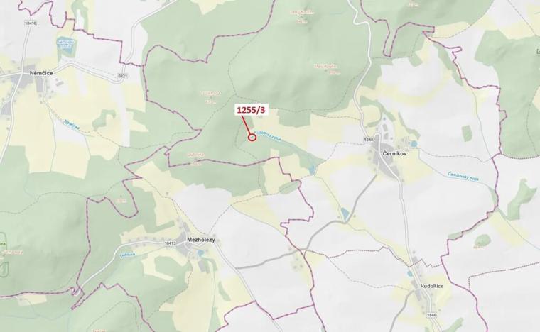 Dražba lesa, Černíkov, 112 m2
