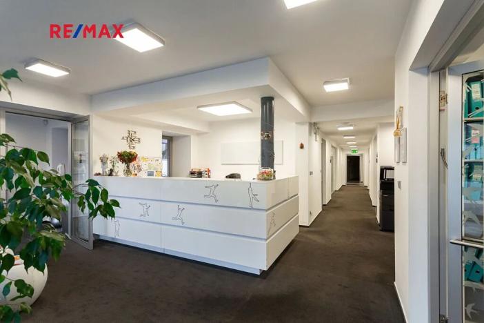 Pronájem kanceláře, Praha - Hodkovičky, Pod kopcem, 700 m2