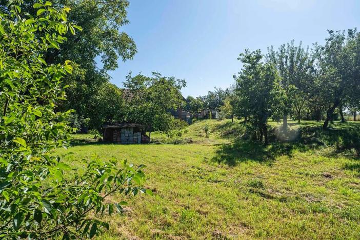 Prodej pozemku pro bydlení, Dřevěnice, 1636 m2