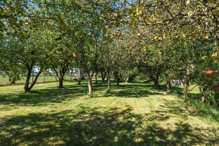 Prodej pozemku pro bydlení, Dřevěnice, 1636 m2