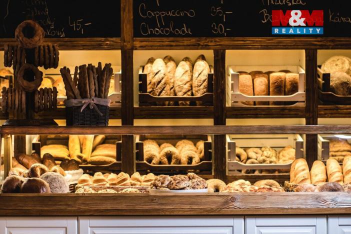 Pronájem obchodního prostoru, Třemošná, Plzeňská, 86 m2