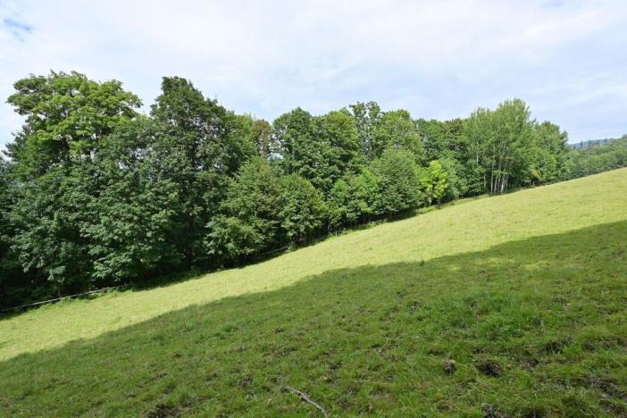 Prodej louky, Lánov - Horní Lánov, 45289 m2