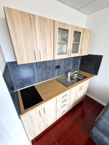 Pronájem bytu 1+kk, Litvínov, Mostecká, 22 m2