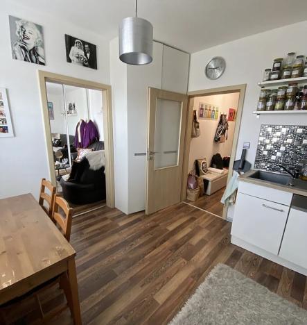 Prodej bytu 1+1, Praha - Vinoř, Českodubská, 45 m2