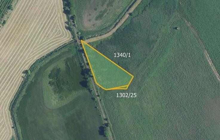 Prodej louky, Brumovice, 9612 m2