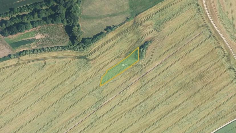 Prodej pole, Kněžpole, 25498 m2