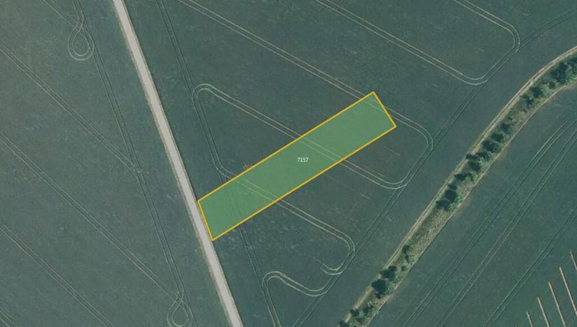 Prodej pole, Prštice, 10704 m2