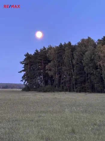 Prodej pozemku pro bydlení, Suchdol nad Lužnicí, 1001 m2