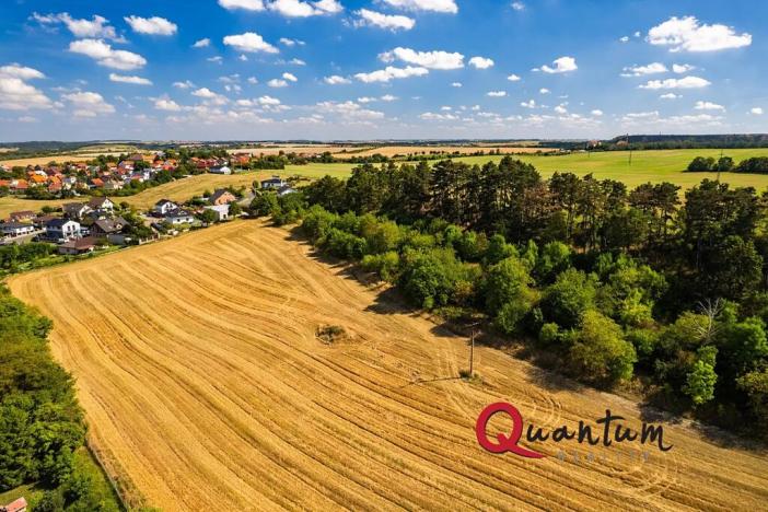 Prodej pozemku pro bydlení, Brandýsek, Nad Kovárnou, 16339 m2