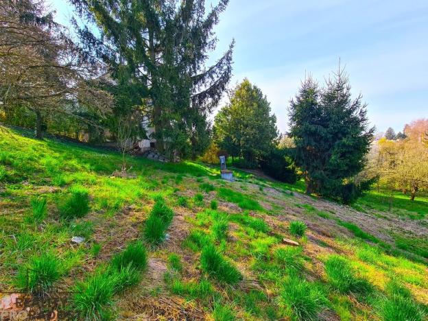 Prodej pozemku pro bydlení, Rousínov, 1256 m2