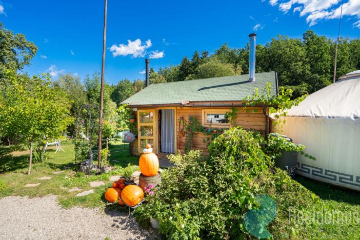 Prodej zemědělské usedlosti, Lhenice - Hrbov, 170 m2