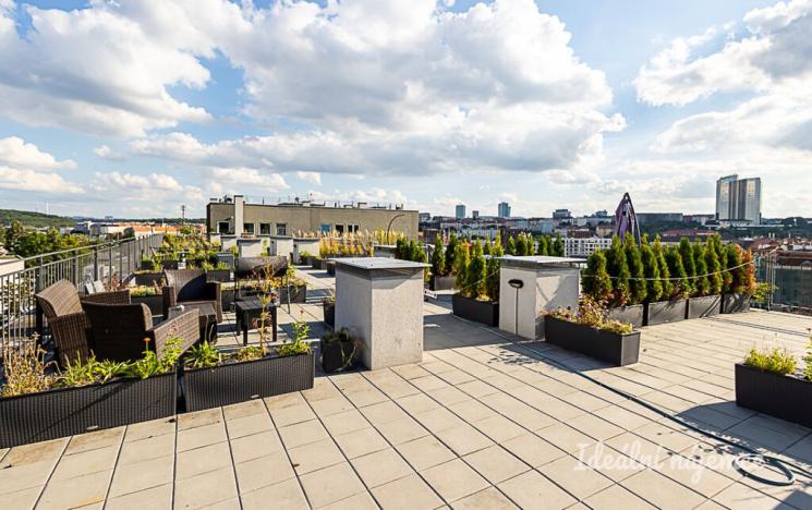 Pronájem bytu 1+kk, Praha - Vinohrady, Perucká, 26 m2