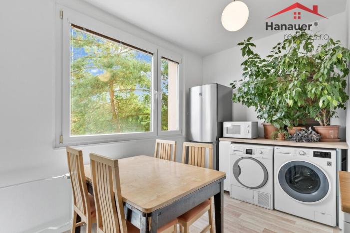 Prodej bytu 3+1, Ústí nad Labem - Neštěmice, Seifertova, 74 m2