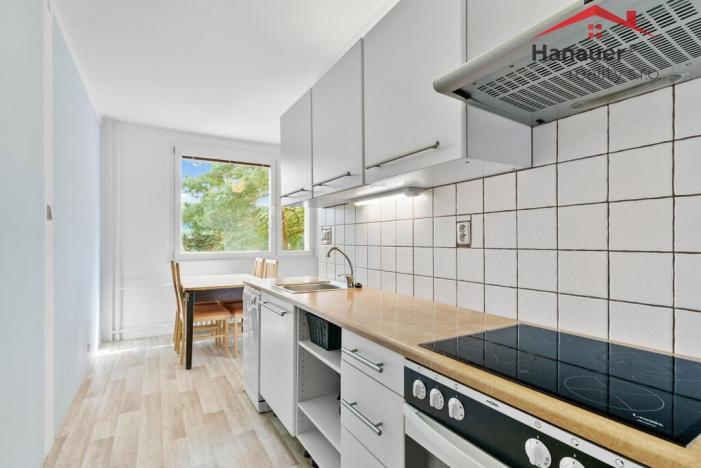 Prodej bytu 3+1, Ústí nad Labem - Neštěmice, Seifertova, 74 m2