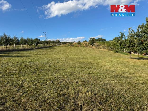 Prodej pozemku pro bydlení, Borkovany, 7835 m2