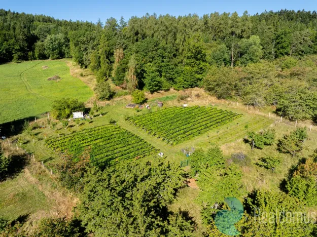 Prodej sadu/vinice, Lhenice, 3239 m2