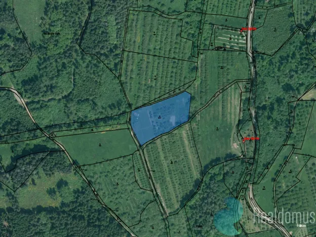 Prodej sadu/vinice, Lhenice, 3239 m2