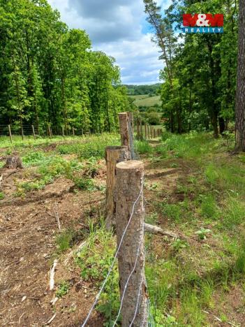 Prodej lesa, Hrazany - Klisinec, 9634 m2