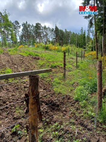 Prodej lesa, Hrazany - Klisinec, 9634 m2