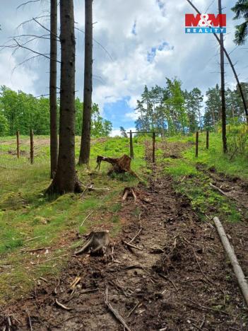 Prodej lesa, Hrazany - Klisinec, 9634 m2