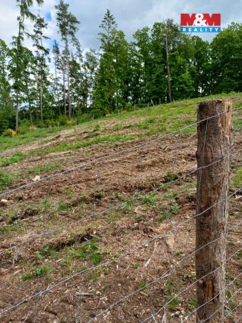 Prodej lesa, Hrazany - Klisinec, 9634 m2