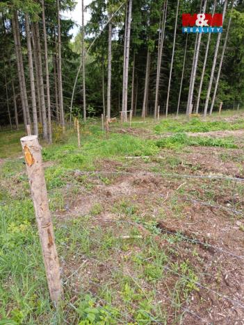 Prodej lesa, Hrazany - Klisinec, 9634 m2