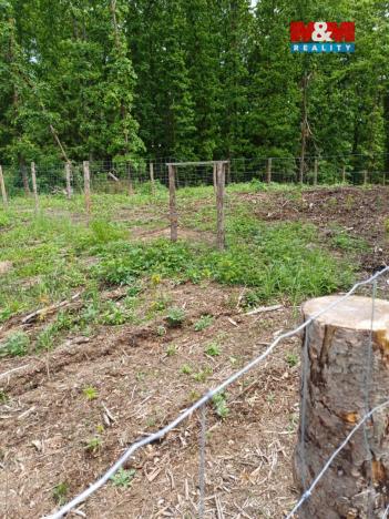 Prodej lesa, Hrazany - Klisinec, 9634 m2