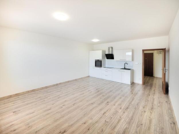 Prodej bytu 1+kk, Tábor, Budějovická, 65 m2