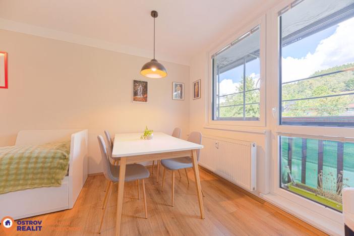 Pronájem bytu 2+kk, Loučná nad Desnou, 74 m2