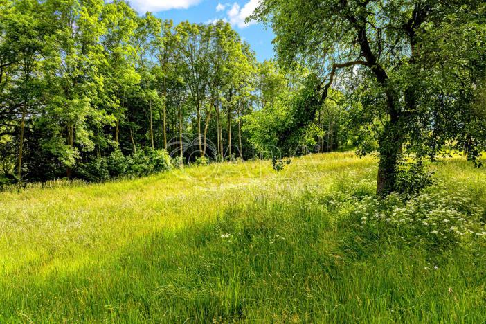 Prodej komerčního pozemku, Čestice, 4931 m2