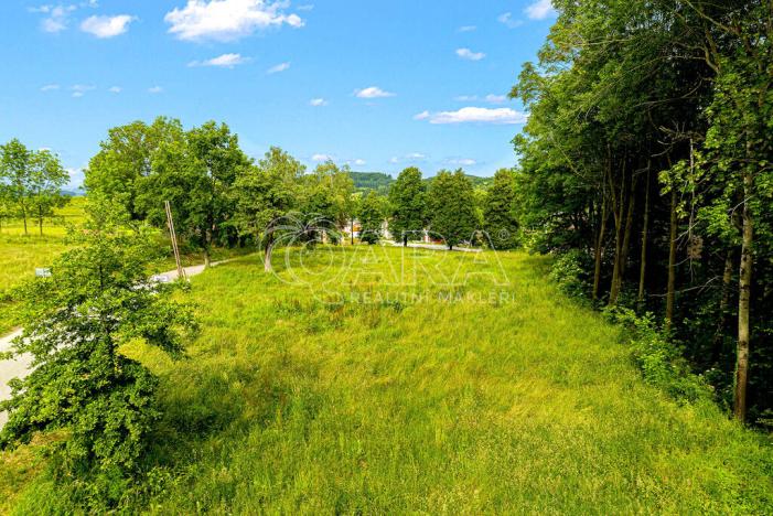 Prodej komerčního pozemku, Čestice, 4931 m2