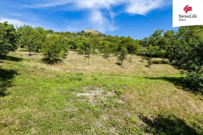 Prodej pozemku pro bydlení, Žalhostice, 3477 m2