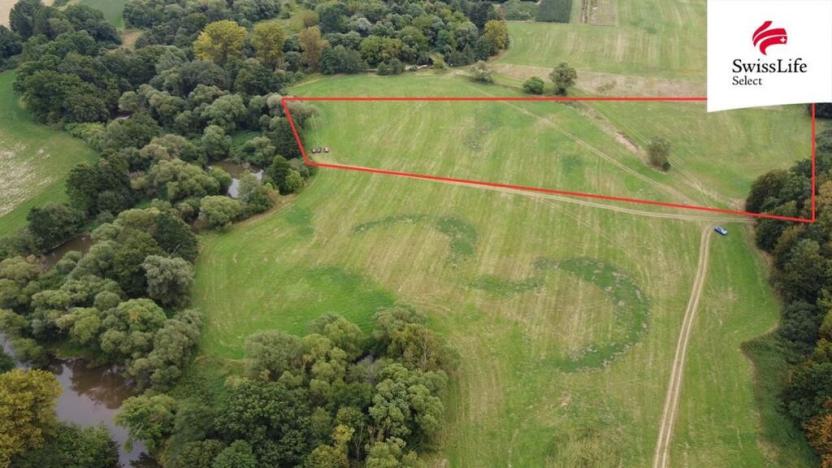 Prodej louky, Borohrádek, 25790 m2