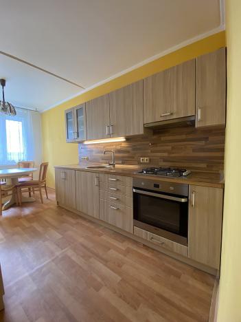 Pronájem bytu 3+1, Most, Josefa Ševčíka, 68 m2