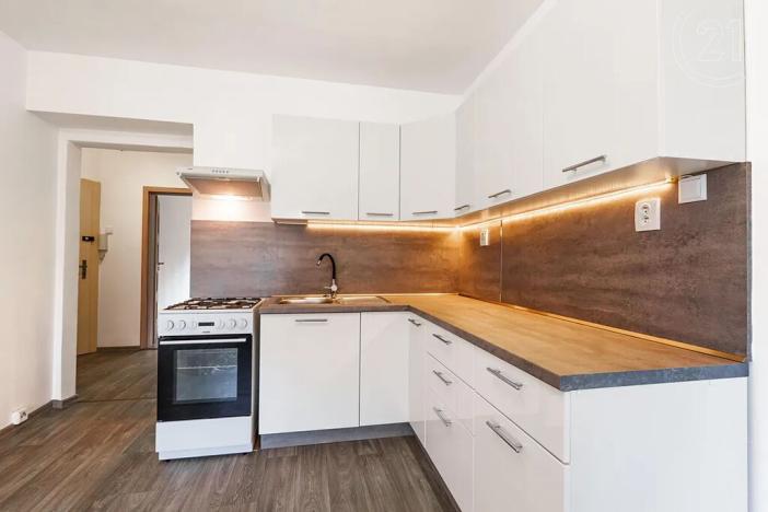 Pronájem bytu 1+1, Děčín, Riegrova, 35 m2