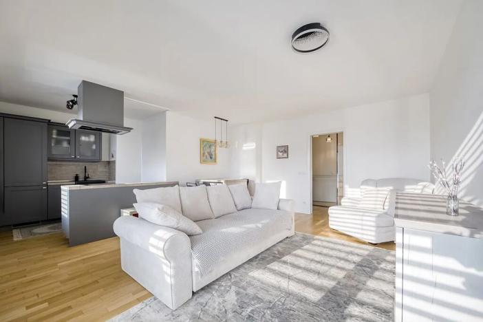 Prodej bytu 2+kk, Praha - Žižkov, U Viktorie, 67 m2