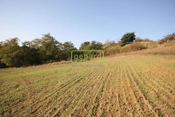 Prodej pozemku pro bydlení, Mokrá-Horákov - Horákov, 3885 m2