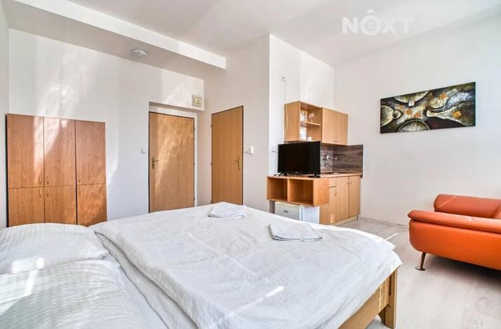 Pronájem bytu 1+kk, Orlová, Těšínská, 22 m2
