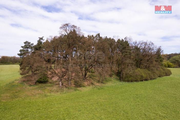 Prodej lesa, Borohrádek, 7342 m2