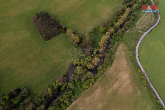 Prodej lesa, Borohrádek, 7342 m2