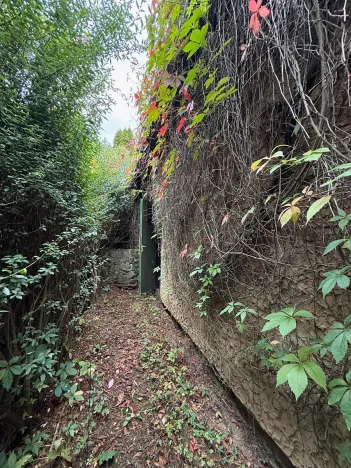 Prodej chaty, Nespeky, 50 m2